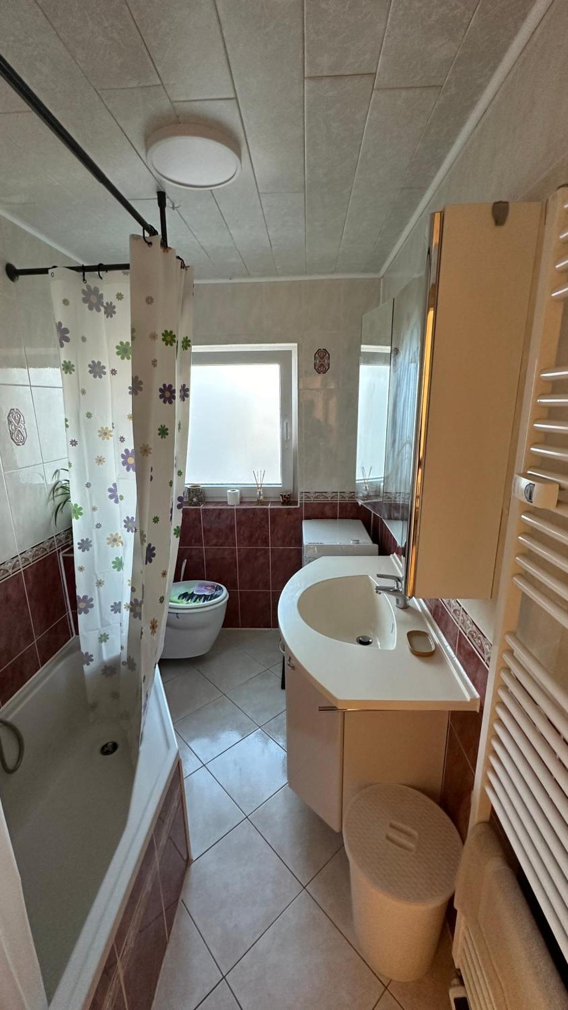 Apartment Arianna זקסנהיים מראה חיצוני תמונה